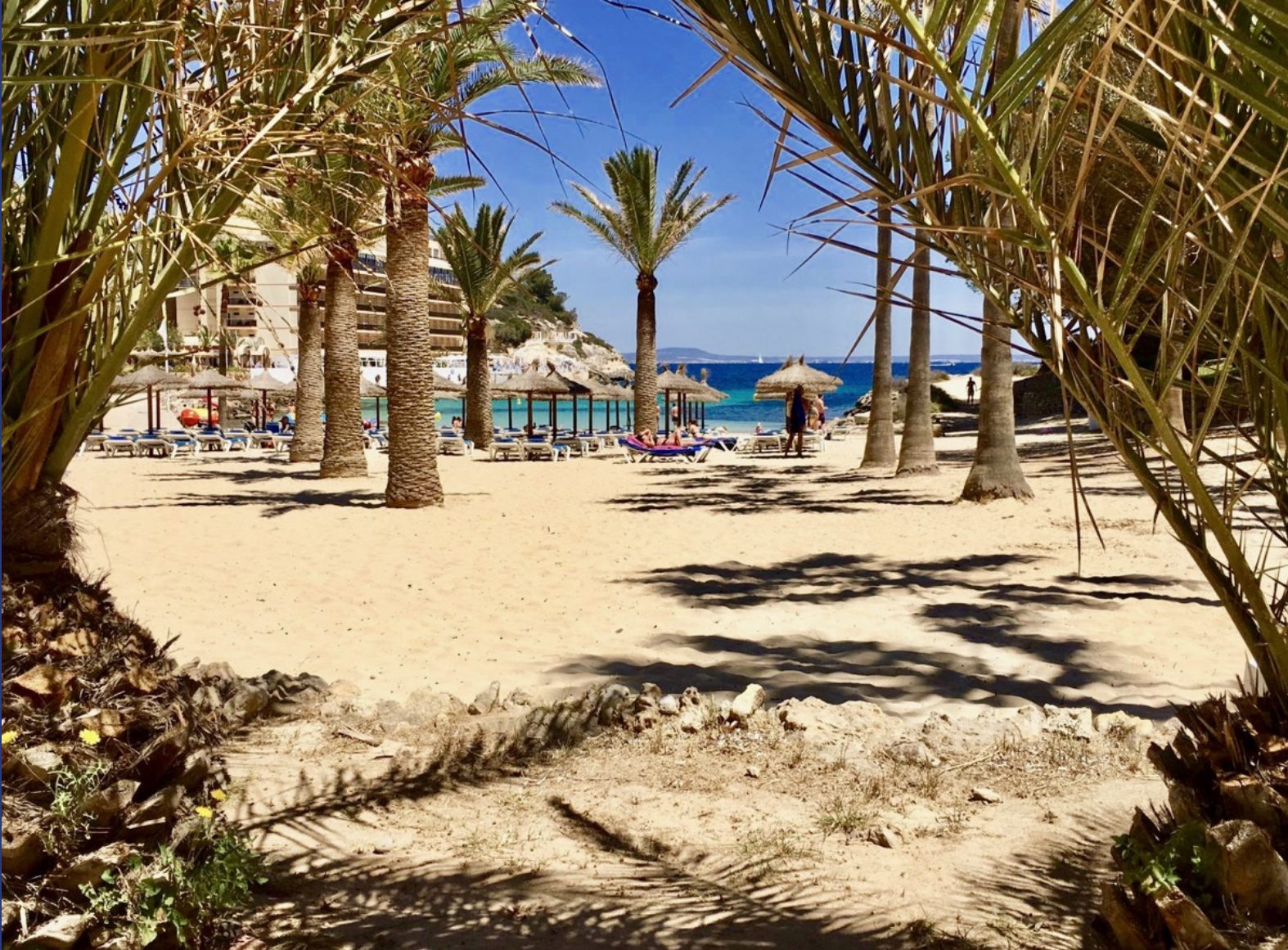 Immobilienangebot - Mallorca (Cala Vinyes) - Alle - Komfortable Meerblick-Wohnung mit großer Terrasse in begehrter Lage von Cala Vinyes        zur Miete