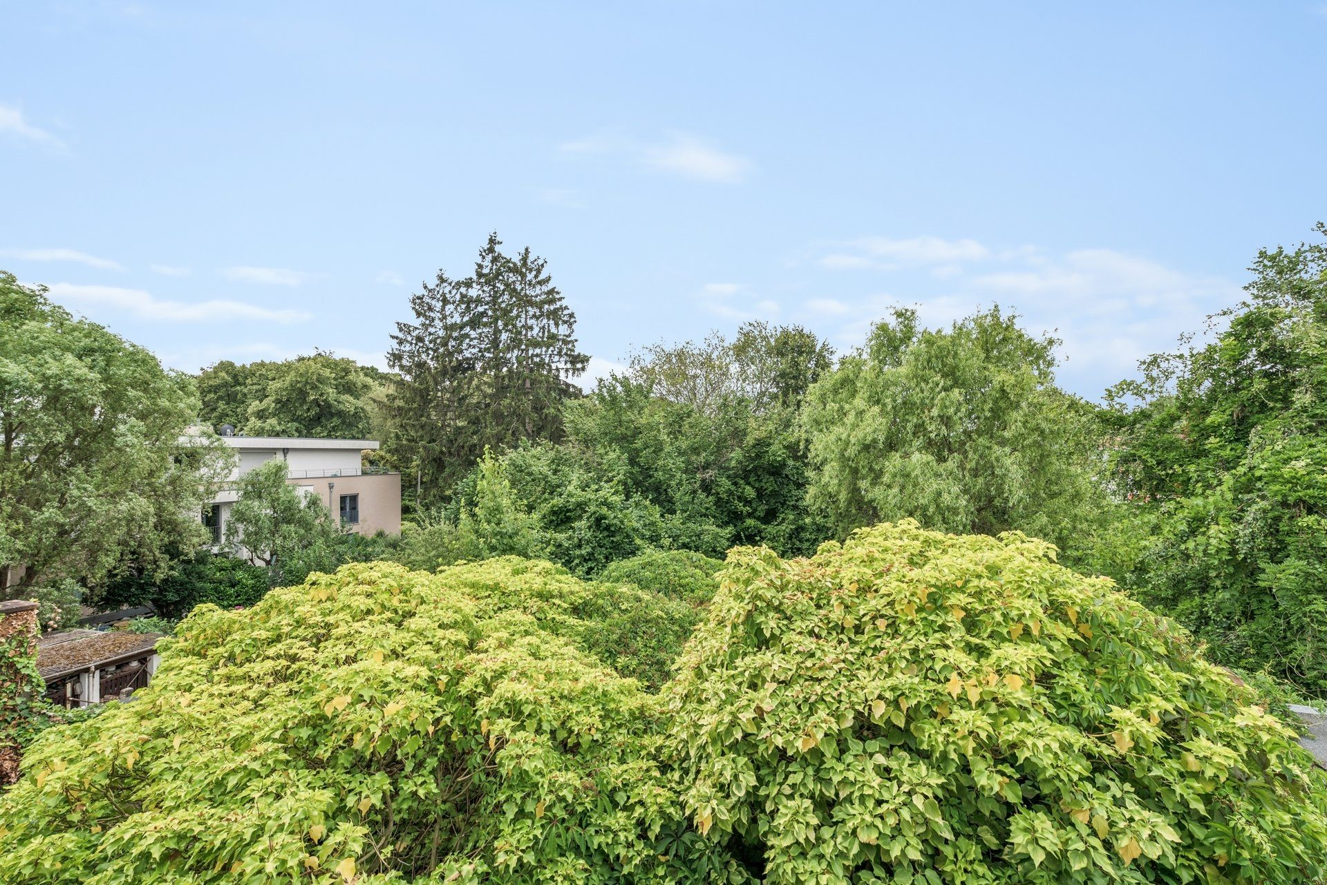 Immobilienangebot - Köln - Alle - Dreifamilienhaus mit Entwicklungspotenzial – leer übergebbar & vielseitig nutzbar