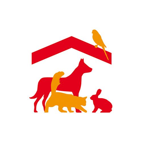 Soziale Projekte: Tierschutzverein