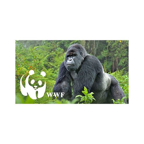 Soziale Projekte: wwf