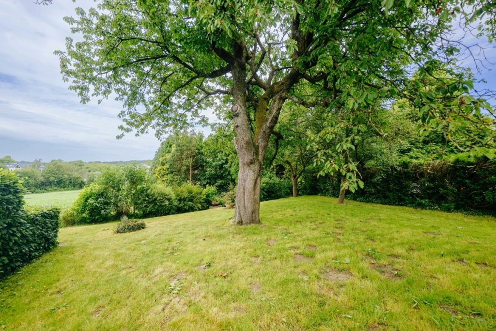 Immobilienangebot - Bad Salzuflen - Wüsten - Alle - Für eigene Wege! Charaktervolles Bruchsteinhaus im Außenbereich