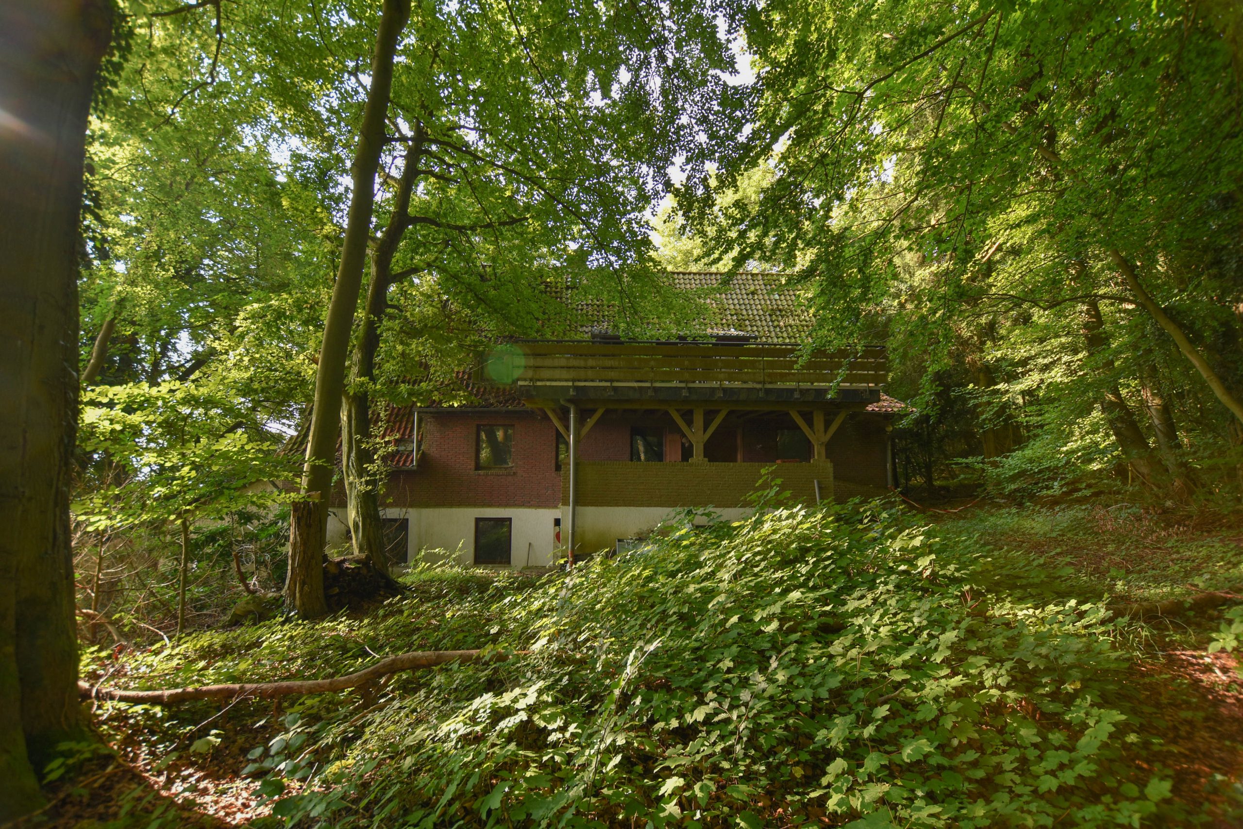 Kunze Immobilien e. K. - Immobilienangebot - 31832 Springe - Springe - Grundstücke - KUNZE: Wohn- und Gaststättengebäude, ehemals "Cafe Waldwinkel" mit Waldgrundstücken