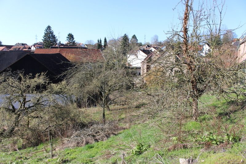 Immobilienangebot - Leimen - Alle - Spannende Projektentwicklung in zentraler Lage von Leimen-Gauangelloch!