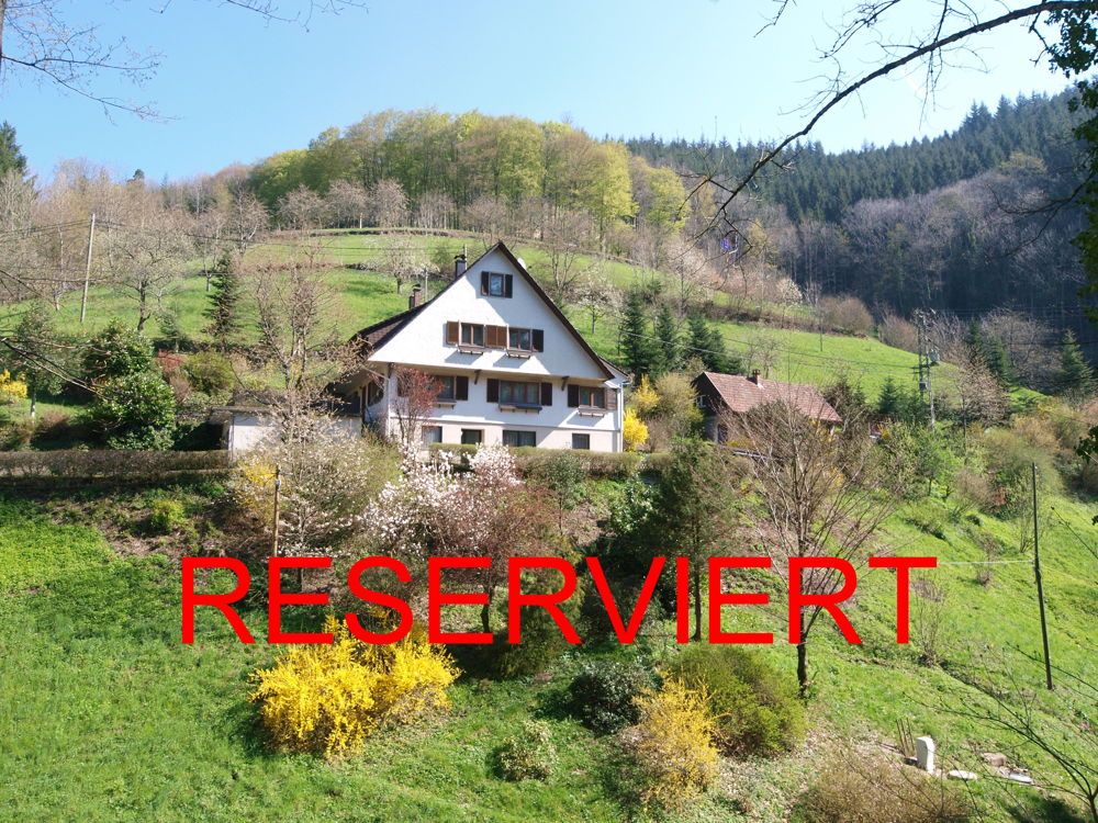 Immobilienangebot - Bad Peterstal-Griesbach - Haus - Einfamilienhaus mit Ferienwohnung in sehr ruhiger Ortsrandlage