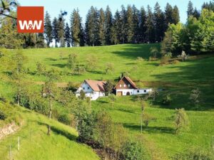 Immobilienangebot - Oppenau - Haus - Bauernhof mit Nebengebäude (Ferienwohnung) in sehr ruhiger Aussichtslage.