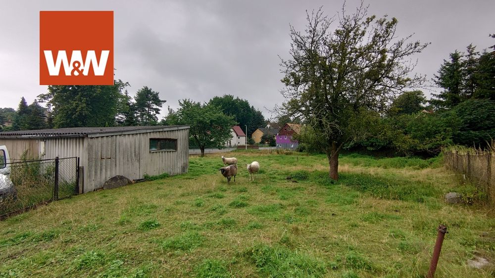 Immobilienangebot - Bernstadt auf dem Eigen / Kemnitz - Alle - Toller Bauplatz -  ein großzügiges Grundstück in der Nähe vom Berzdorfer See