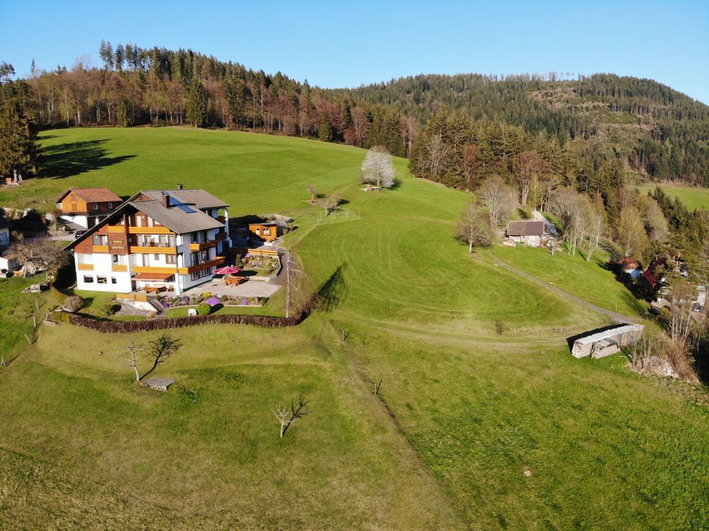 Immobilienangebot - Baiersbronn - Alle - Gepflegte Pension / Mehrfamilienhaus in außergewöhnlicher Alleinlage 
in Obertal mit viel Grünland.