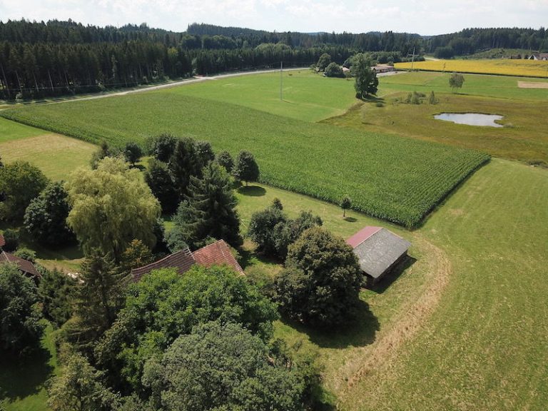 Immobilienangebot - Waldburg - Alle - Alte Hofstelle in traumhafter Lage im Naturschutzgebiet Blauensee