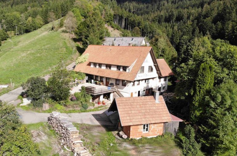 Immobilienangebot - Bad Peterstal-Griesbach / Bad Griesbach - Alle - Bauernhof in ruhiger und sonniger Aussichtslage in Bad Griesbach