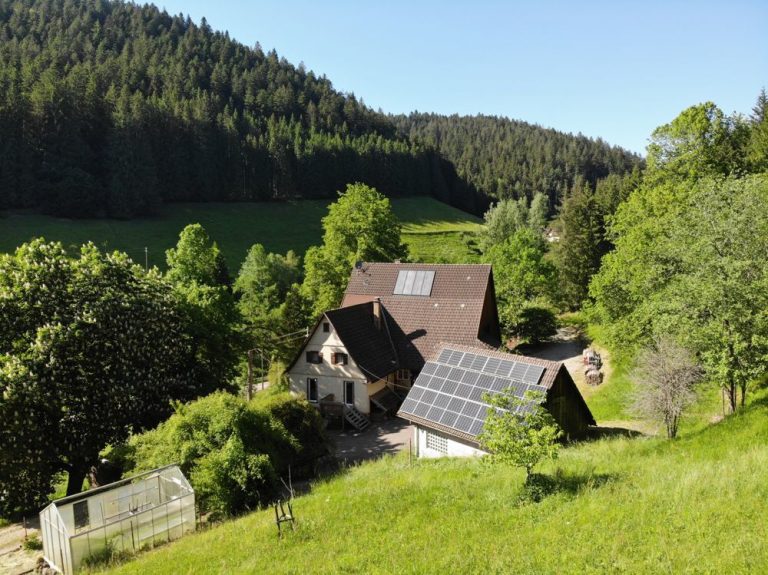Immobilienangebot - Alpirsbach - Alle - Ehemaliger Schwarzwaldhof mit Wohnhaus, 

Nebengebäuden, Wald und Wiesen