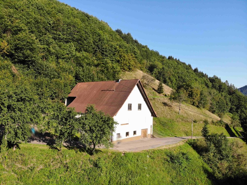 Immobilienangebot - Oppenau - Alle - Großer Bauernhof in ruhiger Lage !