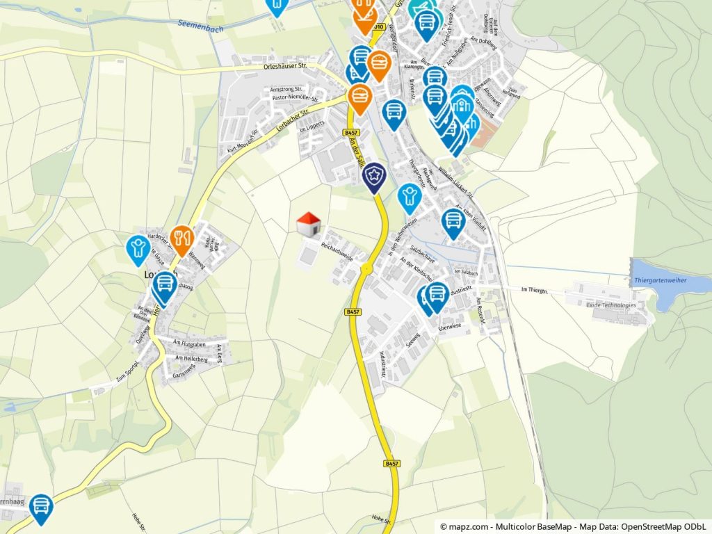 Immobilienangebot - Büdingen - Alle - BÜDINGEN-STADT: ÜBER 411 QUADRATMETER FEINSTE BÜRO/PRAXIS/WOHNFLÄCHE IN FELDRANDLAGE MIT GOLFRASEN!