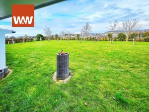 Immobilienangebot - Büdingen - Alle - BÜDINGEN-STADT: ÜBER 411 QUADRATMETER FEINSTE BÜRO/PRAXIS/WOHNFLÄCHE IN FELDRANDLAGE MIT GOLFRASEN!