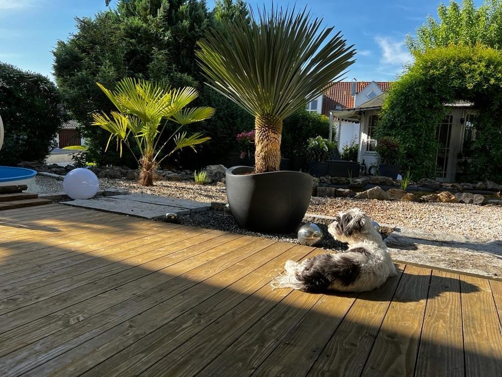 Immobilienangebot - Auenwald - Alle - Gartenparadies inklusive: 2-Familienhaus sucht neue Bewohner