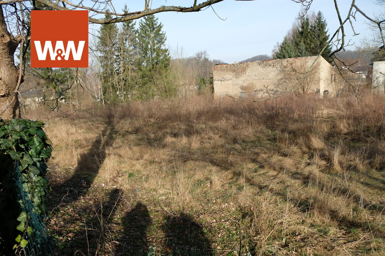 Immobilienangebot - Waldheim - Alle - Baugrundstück in Top Lage