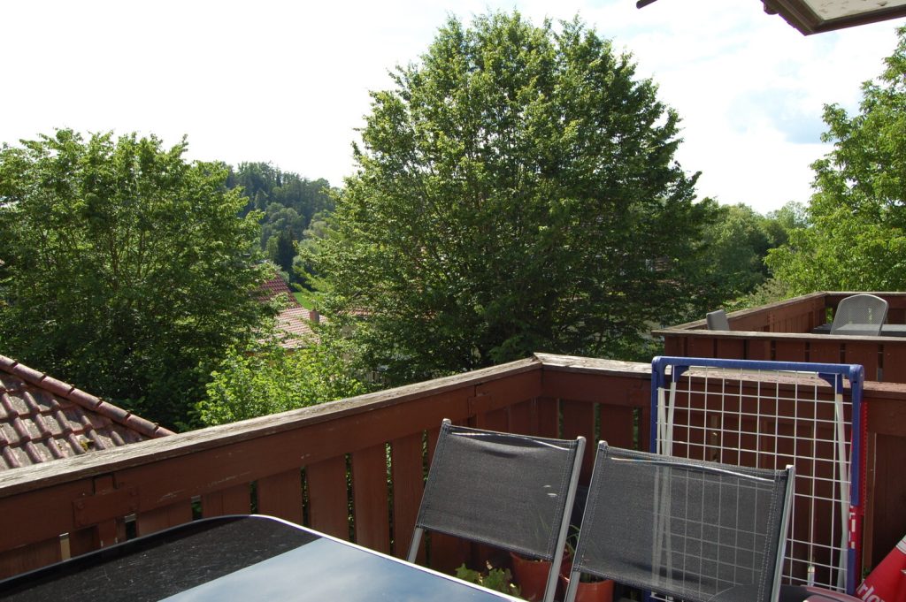 Immobilienangebot - Landau an der Isar - Alle - ***Landau/Isar – untere Stadt-: Großzügige 3-Zi. ETW mit EBK, Südbalkon und PKW-Stellplatz***