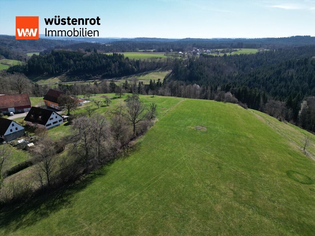 Immobilienangebot - Sulzbach-Laufen - Alle - Einzigartiges Anwesen in herrlicher Natur – Landhaus mit 8 Hektar ideal für Pferdehaltung, Hobby oder zur Erholung!