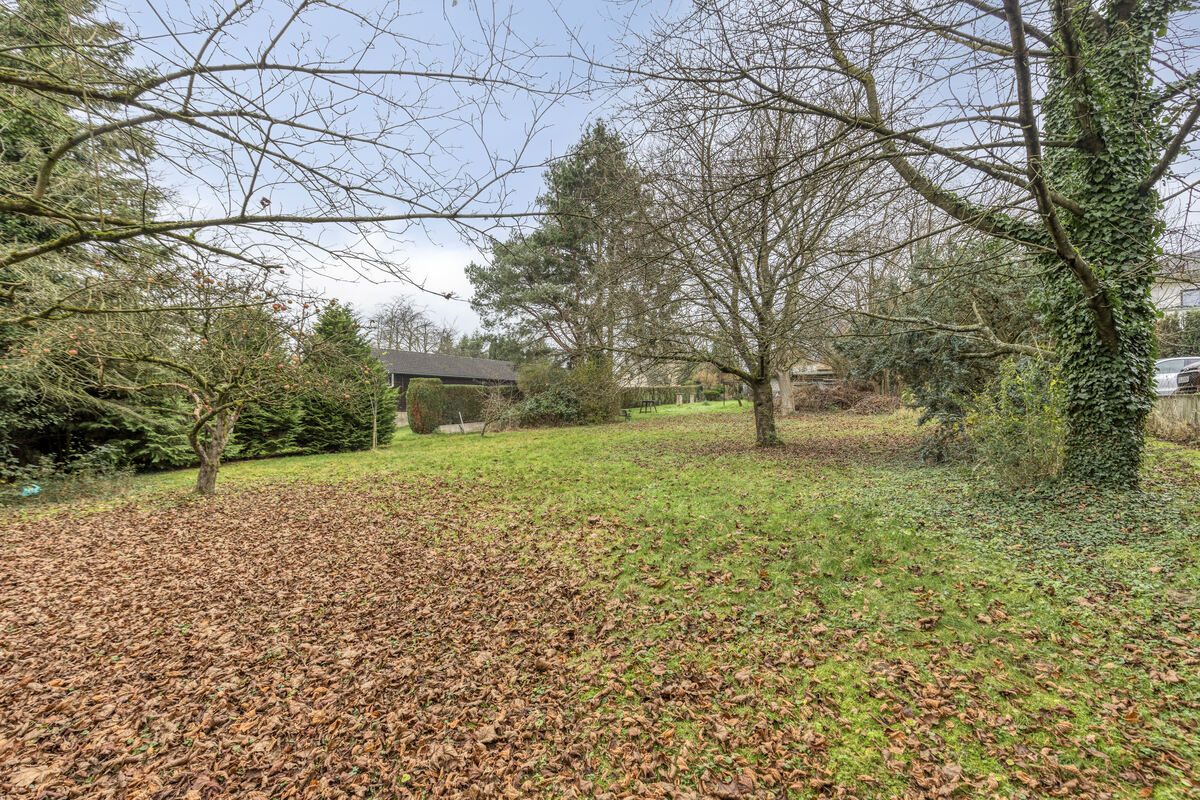 Immobilienangebot - Leichlingen - Alle - Großzügiges Ein- oder Zweifamilienhaus mit Charme, Gartenparadies & vielen Möglichkeiten