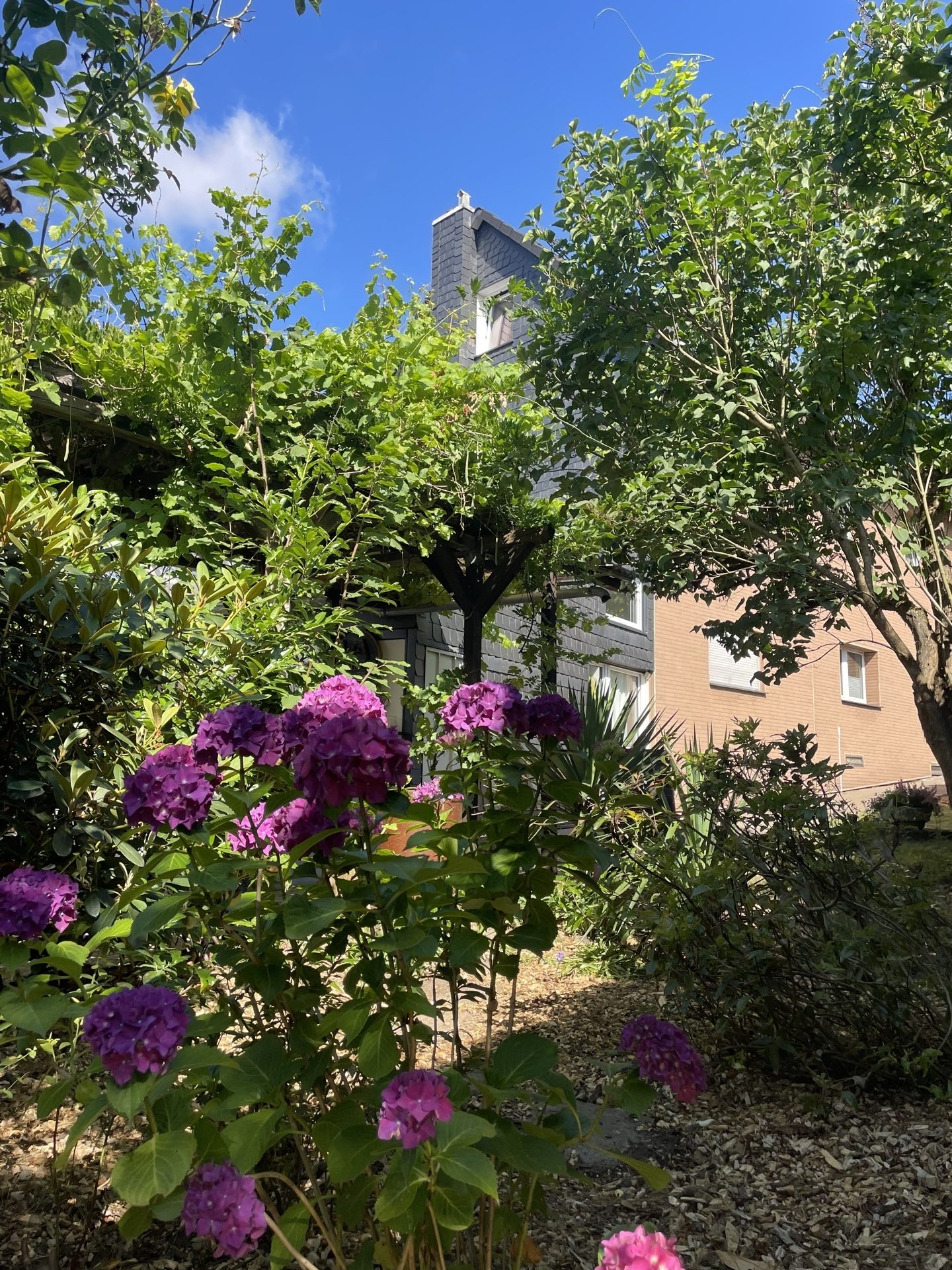 Immobilienangebot - Leichlingen - Alle - Großzügiges Ein- oder Zweifamilienhaus mit Charme, Gartenparadies & vielen Möglichkeiten