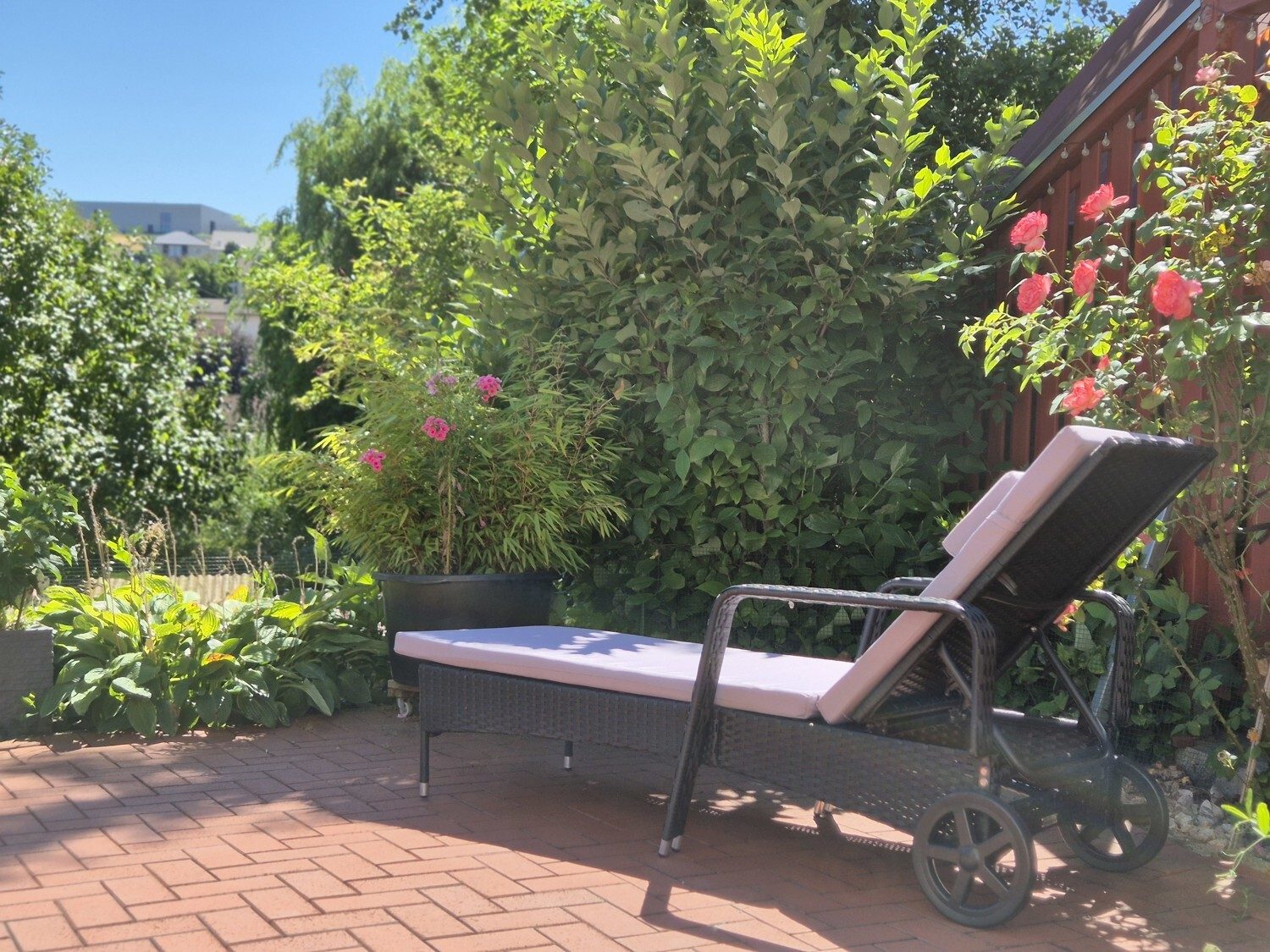 Immobilienangebot - Petersberg - Alle - NEUER PREIS! Sofort einziehen & wohlfühlen – Wohntraum mit XXL-Balkon & Gartenparadies
