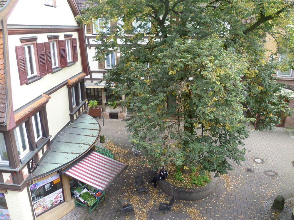 Immobilienangebot - Schramberg - Alle - Stadtwohnung im Herzen von Schramberg