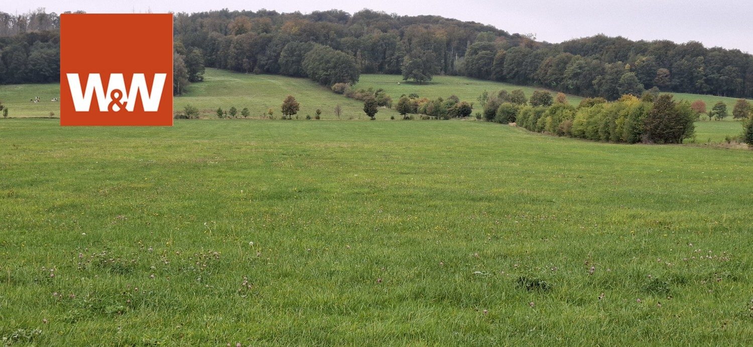 Immobilienangebot - Königshain - Alle - Dreiseitenhof in Königshain mit 16 ha Landwirtschaftsfläche und 11 ha Wald
