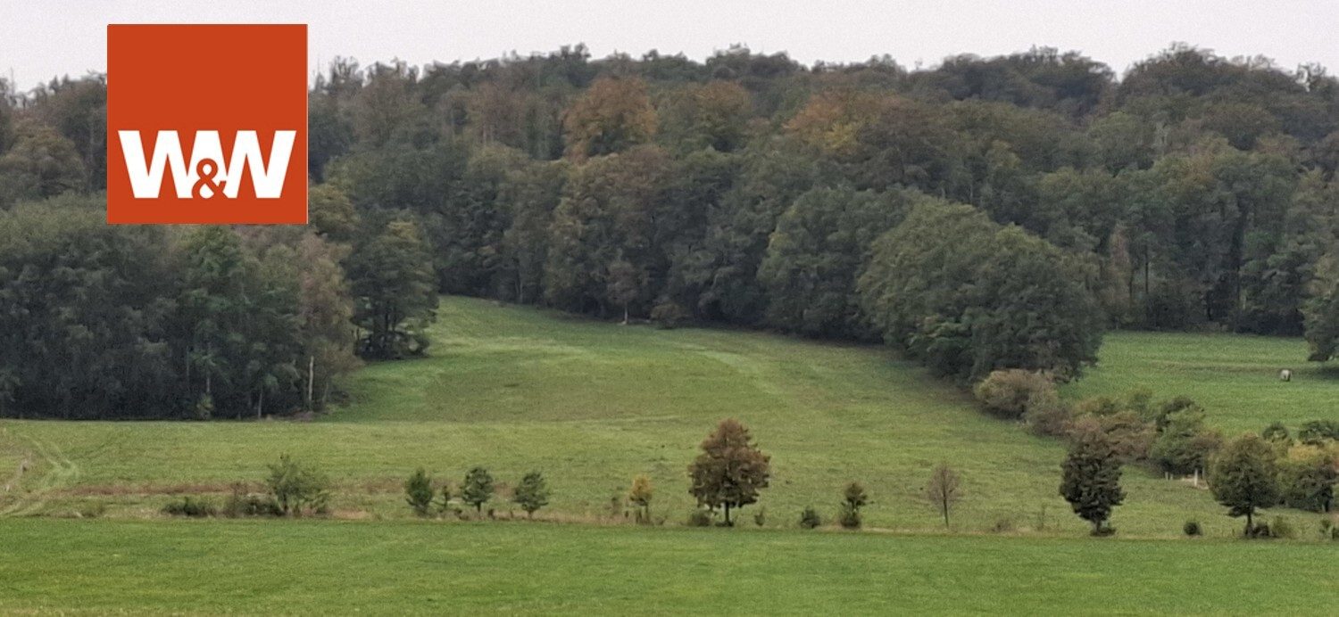 Immobilienangebot - Königshain - Alle - Dreiseitenhof in Königshain mit 16 ha Landwirtschaftsfläche und 11 ha Wald