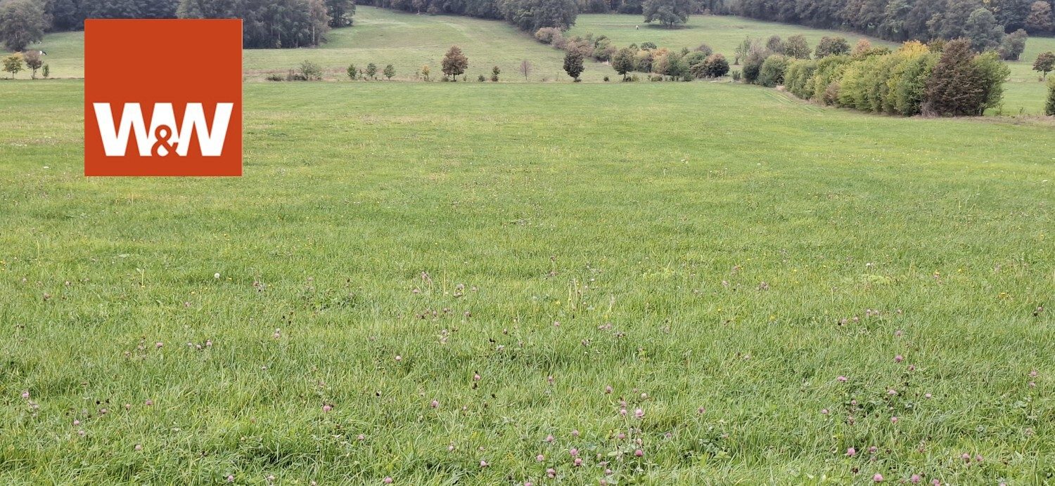 Immobilienangebot - Königshain - Alle - Dreiseitenhof in Königshain mit 16 ha Landwirtschaftsfläche und 11 ha Wald