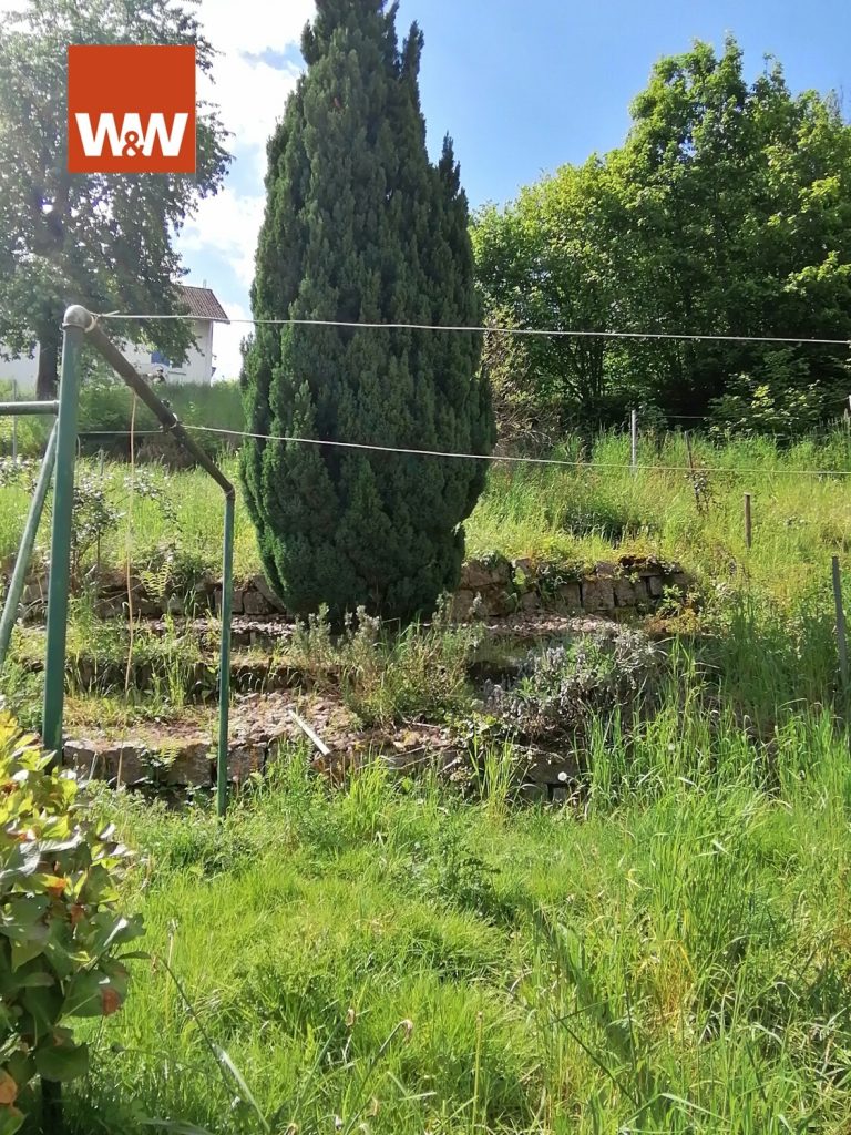 Immobilienangebot - Weisenbach - Alle - Tolle Aussichtslage!
