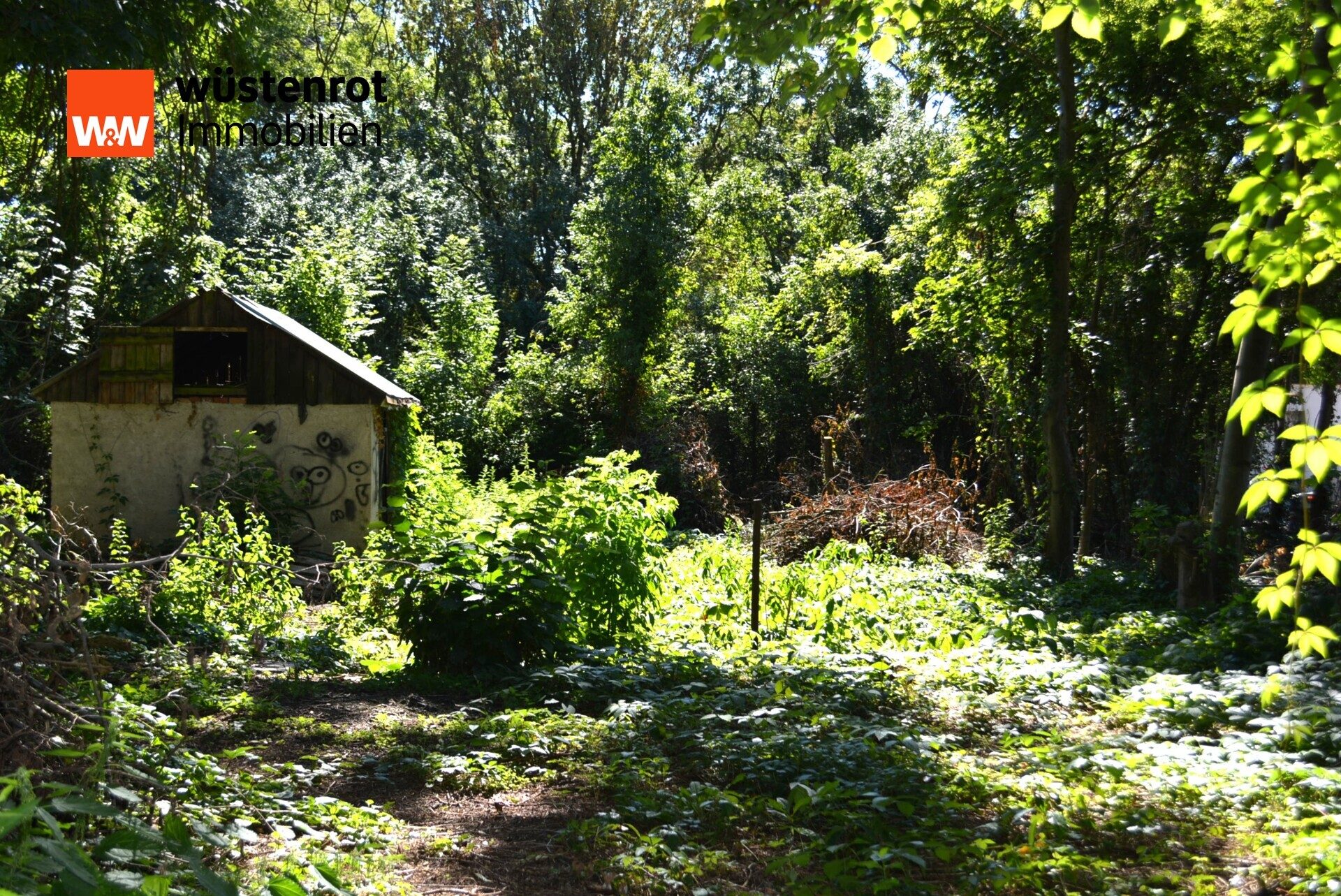 Immobilienangebot - Zechin - Alle - Großes Baugrundstück / Teilbar mit zweiter Zufahrt in Zechin
