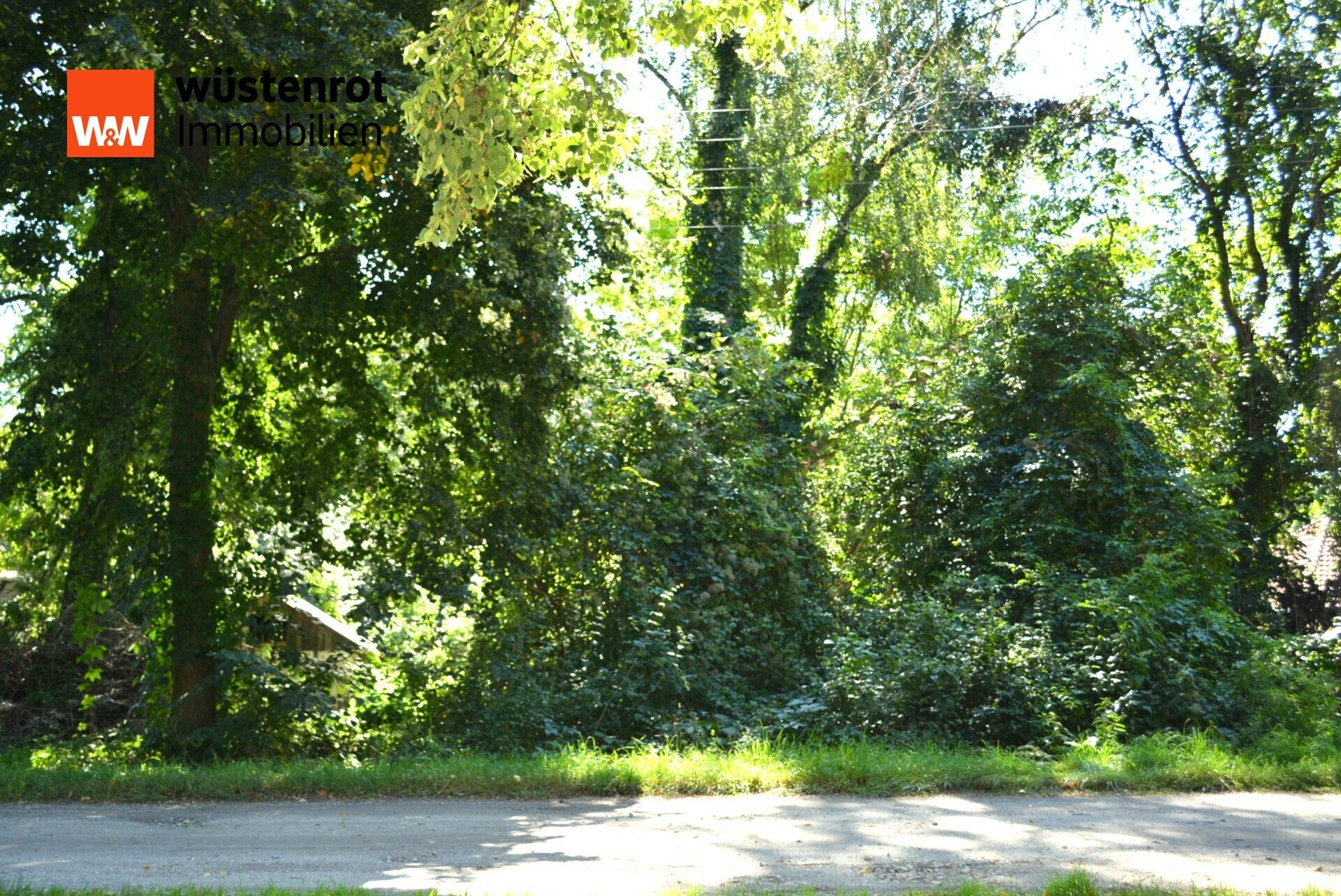 Immobilienangebot - Zechin - Alle - Großes Baugrundstück / Teilbar mit zweiter Zufahrt in Zechin