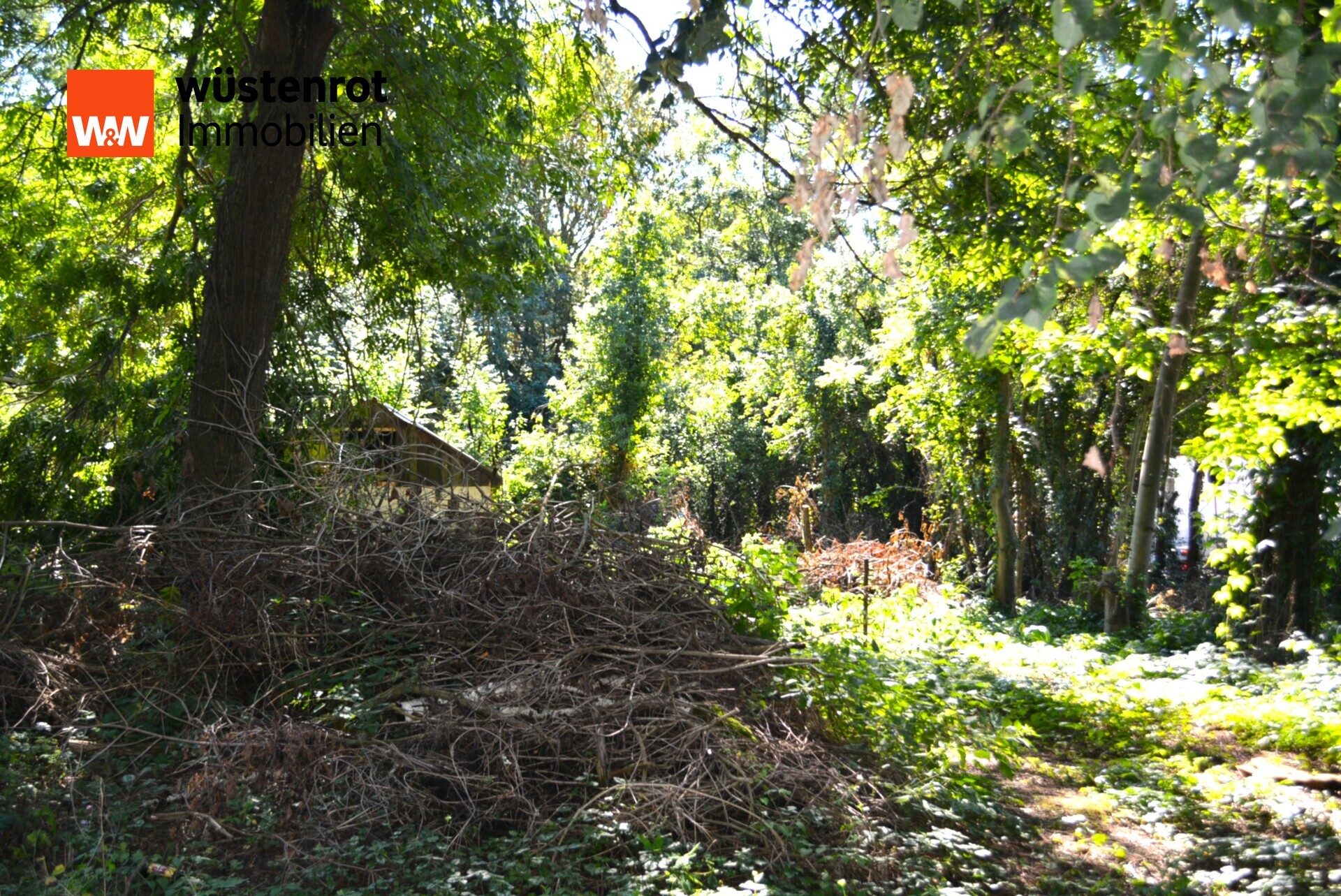 Immobilienangebot - Zechin - Alle - Großes Baugrundstück / Teilbar mit zweiter Zufahrt in Zechin