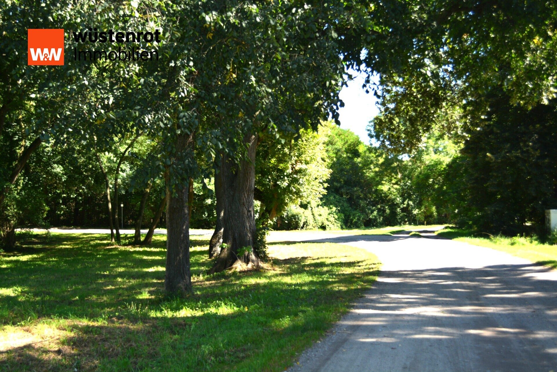 Immobilienangebot - Zechin - Alle - Großes Baugrundstück / Teilbar mit zweiter Zufahrt in Zechin