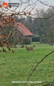 Immobilienangebot - Ihlow - Alle - Reihenmittelhaus im schönen Ihlow