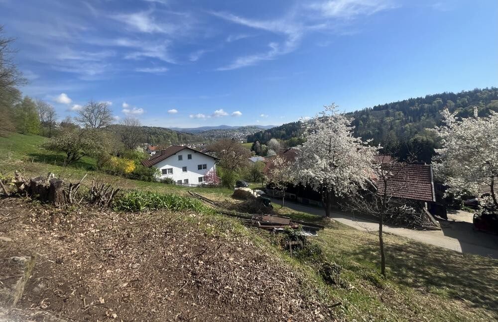 Immobilienangebot - Grafenau - Alle - Einzigartiges Baugrundstück mit 2.569qm & unverbaubarem Blick in die Berge - kein Bebauungsplan!