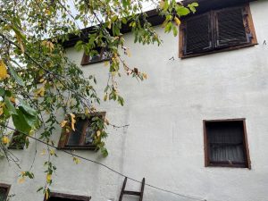 Immobilienangebot - Waldachtal / Salzstetten - Alle - Stark sanierungsbedürftiges Einfamilienhaus mit Garten in Salzstetten.