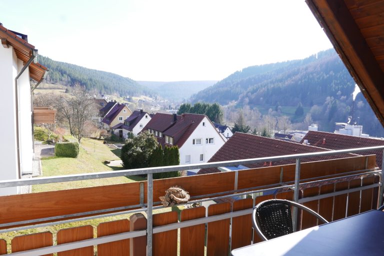 Immobilienangebot - Baiersbronn - Alle - Gepflegte Maisonette-Wohnung mit toller Aussicht in und über Baiersbronn