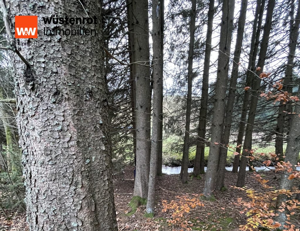 Immobilienangebot - Bischofsgrün - Alle - Im Fichtelgebirge bieten wir Ihnen mit diesem Objekt Renditechancen und Lebensqualität in Einem