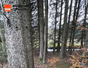 Immobilienangebot - Bischofsgrün - Alle - Im Fichtelgebirge bieten wir Ihnen mit diesem Objekt Renditechancen und Lebensqualität in Einem