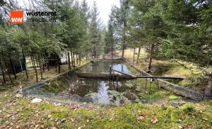 Immobilienangebot - Bischofsgrün - Alle - Im Fichtelgebirge bieten wir Ihnen mit diesem Objekt Renditechancen und Lebensqualität in Einem