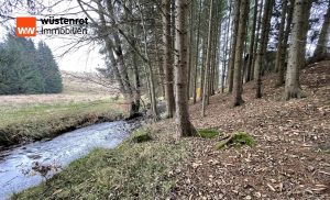 Immobilienangebot - Bischofsgrün - Alle - Im Fichtelgebirge bieten wir Ihnen mit diesem Objekt Renditechancen und Lebensqualität in Einem
