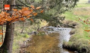 Immobilienangebot - Bischofsgrün - Alle - Im Fichtelgebirge bieten wir Ihnen mit diesem Objekt Renditechancen und Lebensqualität in Einem