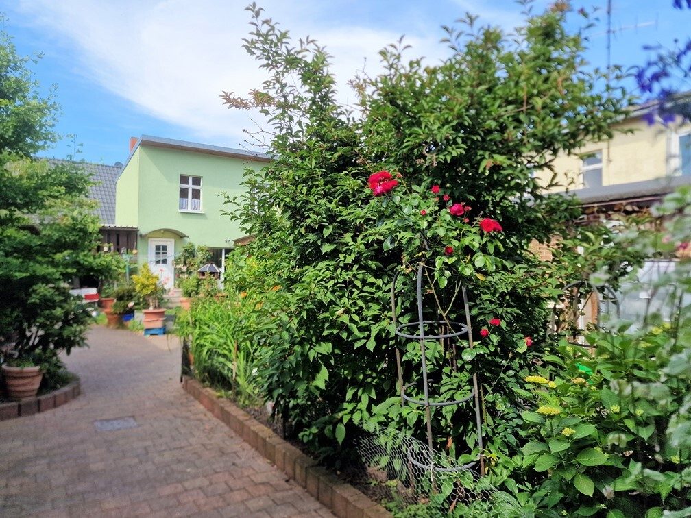 Immobilienangebot - Loburg - Alle - Großes Ensemble - 2 Häuser 1 Preis, tolle Gelegenheit mit viel Potential