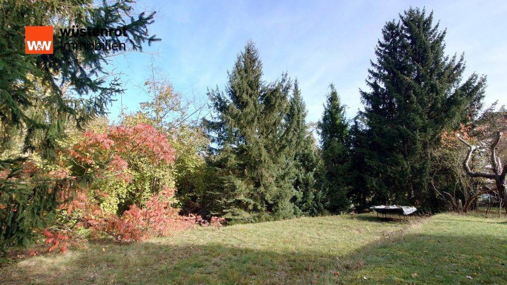 Immobilienangebot - Weißwasser - Alle - klein fein dein - Doppelhaushälfte ruhig gelegen - charmantes Haus im Grünen