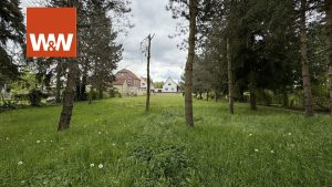 Immobilienangebot - Doberlug-Kirchhain - Alle - Bauplatz für Ihr EFH in Doberlug Kirchhain mit großem Garten, komplett eingezäunt !