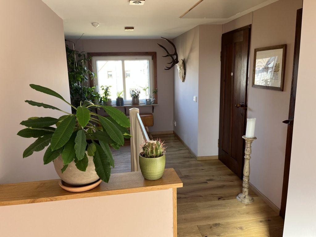 Immobilienangebot - Gersdorf - Alle - Wunderschönes Einfamilienhaus mit Wintergarten, großem Grundstück & vielseitigem Nebengebäude