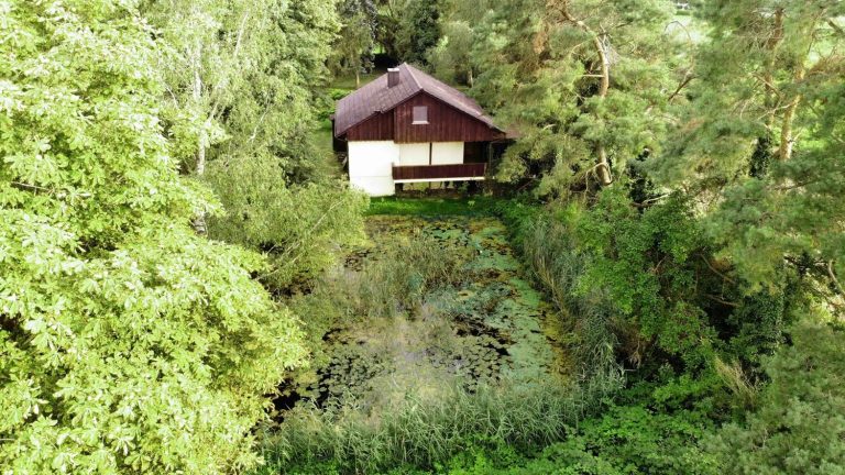 Immobilienangebot - Ingolstadt / Rothenturm - Alle - Landgut: Grundstück mit Ferienhaus, nahe der Stadt
