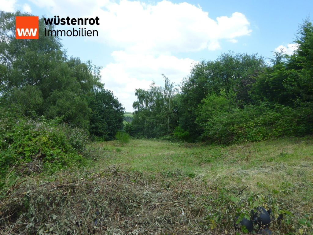 Immobilienangebot - Solingen / Wald - Alle - xxx Kaufpreissenkung xxx-Freistehendes Einfamilienhaus auf großem Grundstück in Solingen-Wald