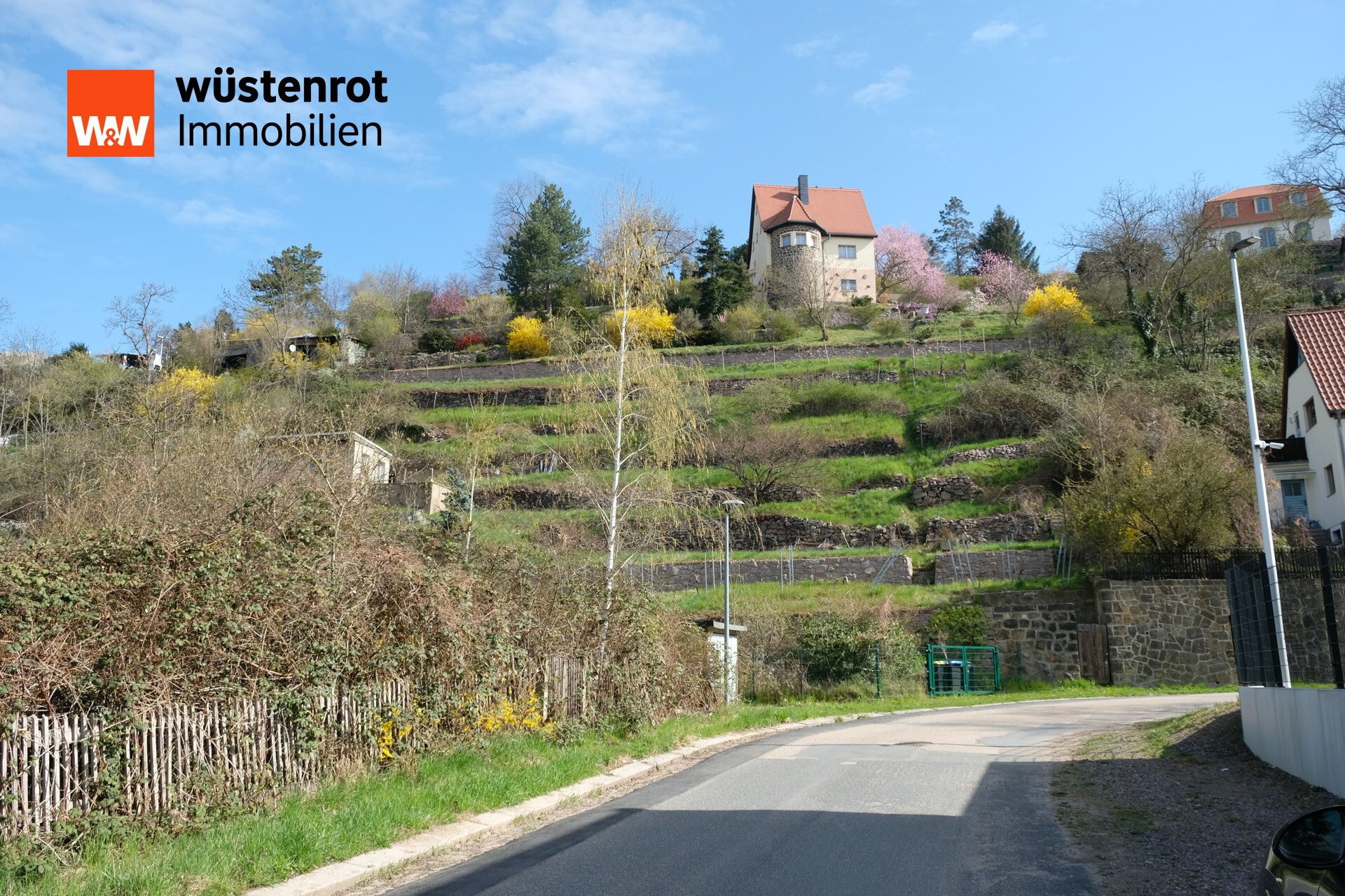 Immobilienangebot - Meißen - Alle - Traumhaftes Hanggrundstück in Meißen – Historischer Weinberg mit Potenzial