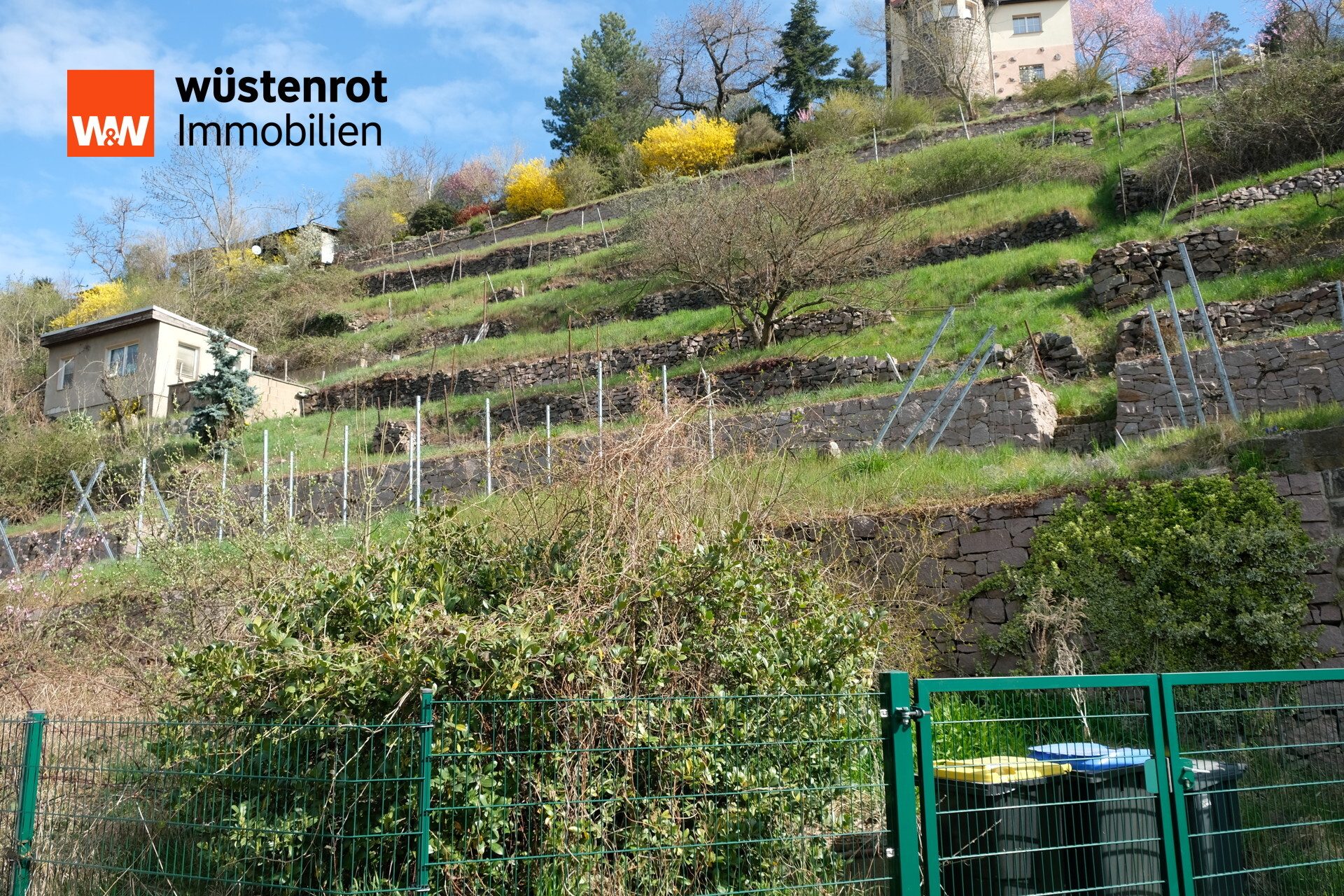 Immobilienangebot - Meißen - Alle - Traumhaftes Hanggrundstück in Meißen – Historischer Weinberg mit Potenzial